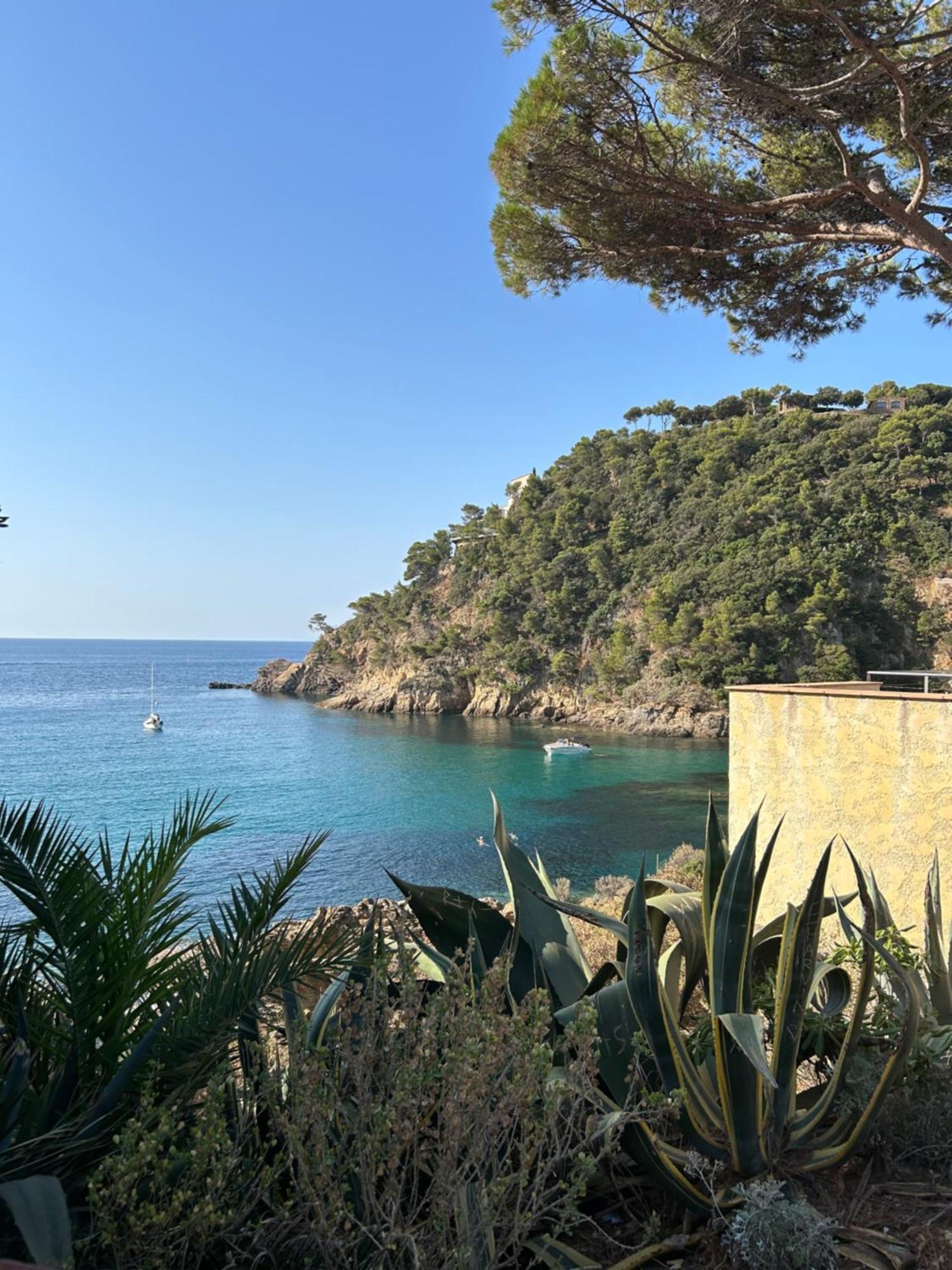 Appartamento La Calypso Cavalaire-sur-Mer Esterno foto